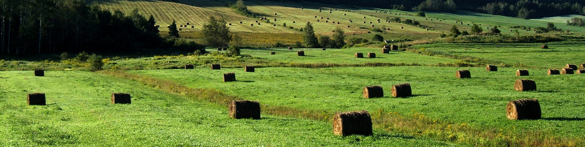 Héro - Paysage 2