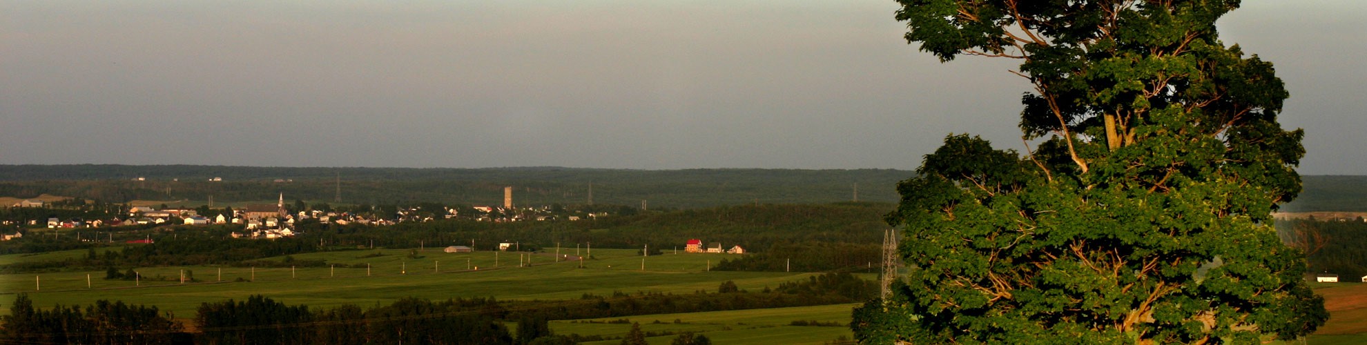 Héro - Arbre