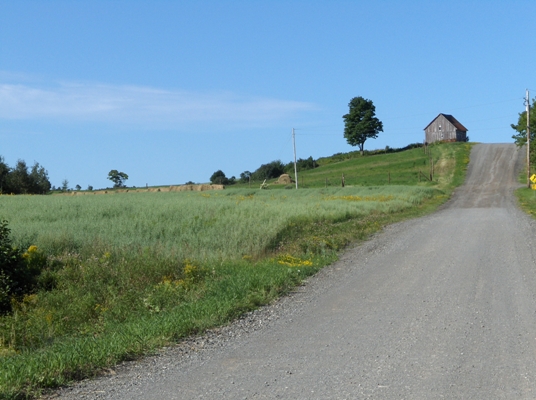 Paysage rang 1
