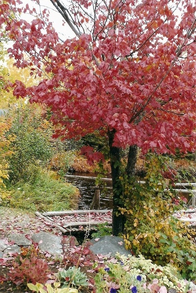 Octobre Bibiane Guay